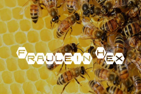 Fraulein Hex: Geometric Charm for Modern Brands