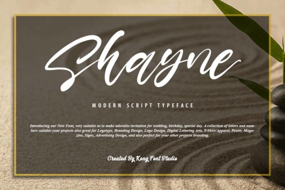 Shayne: A Playful Script Font for Modern Creatives